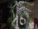 RARE PENDULUM HOLD YOUR COLOUR VINYL JUNGLE