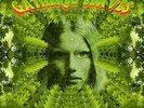 Various Artists - Gathered Leaves (A Ptolemaic Terrascope Sampler) Bevis Frond