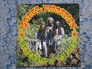 LP: Israel Vibration ?– Strength Of My Life, Real Authentic Sound –RAS3 , US1988