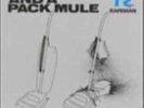 RAPEMAN-TWO NUNS & A PACK MULE  VINYL LP NEW