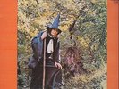 Gandalf The Grey The Grey Wizard Am I NEAR MINT Heyoka Vinyl LP