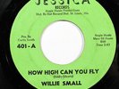 WILLIE SMALL-HOW HIGH CAN YOU FLY / SAY YOU WILL ON JESSICA NORTHERN 45-, HEAR