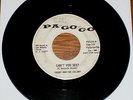 COUNT AND THE COLONY-CAN'T YOU SEE? RARE MICHIGAN GARAGE 45 PA GO GO PROMO HEAR