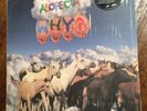 Alopecia - Why? LP // OOP 2008 original pressing on Tomlab