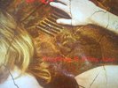 Marc Almond Soft Cell ?Torch The Art Of Tearing Apart Rare 12