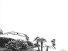 Timber Timbre - Hot Dreams