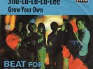 Small Faces, The - Sha La La La Lee -Vinyl-Single 7