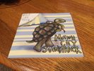 Motion City Soundtrack Trampled by Turtles Split 7