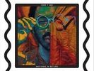 Anything in Return by Toro y Moi (Vinyl, Jan-2013, Carpark Records)