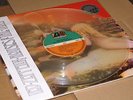 Led Zeppelin ?– Houses Of The Holy  rare limtd edit lp color       sealed