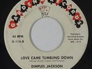 R&B Soul Popcorn 45 - Dimples Jackson - Love Came Tumbling Down - Gardena - mp3