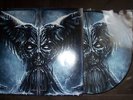 Immortal - All Shall Fall,  pic Vinyl LP 2009, No. 92, NB2303-9, FOC