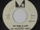 Garage Psych 45 - Enchanted Forest - The Word Is Love - Variations - mp3