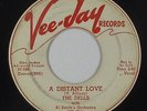 Doo-Wop/R&B Rocker 45 - Dells - A Distant Love/Q-Bop She-Bop - Vee-Jay - mp3