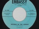R&B Popcorn Exotica 45 - Commanders - Trouble In The Jungle - Embassy - mp3