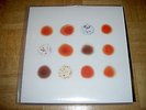 Peter Gabriel - Scratch My Back I'll Scratch Yours (Radiohead, Arcade Fire) 2 LP