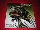 Rage - Perfect Man, NO112-1 Vinyl LP 1988, 1. Press