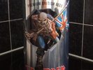 IRON MAIDEN TROOPER BEER ALE EMBOSSED TIN WITH CLIP LID Complete