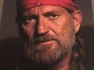 Willie Nelson Boxed set, 9 LP Vinyl Records including Photodisc