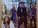 Mott The Hoople Wildlife rare 1971 UK Island label gatefold lp near ex