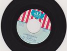 CHERRY SLUSH--I CANNOT STOP YOU / DON'T WALK AWAY--USA-895-GREAT MICHIGAN GARAGE
