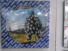 Pink Floyd Delicate Sound Of Thunder Rare Picture Disc