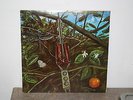 DRAGONFLY S/T '68 Orig DG Megaphone PSYCH FUZZ ROCKER Nice Copy