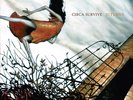 Circa Survive Juturna LP vinyl record sealed deluxe 10 year edition fall of troy