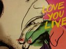 The Rolling Stones Love You Live vinyl album