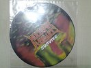 nuclear assault.picture disc survive.thrash metal overkill anthrax whiplash s.o.