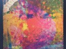 THE LITTER - $100 FINE 1968 GARAGE ROCK HEXAGON DEEPGROOVE