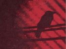 A Silver Mt. Zion, S - Born Into Trouble As the Sparks Fly Upward [New Vinyl LP]