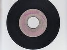 BLANK/ CARESS ME, TREAT ME NICE  -  BOB ANDY & TYRONE EVANS  (69 SKINHEAD 7