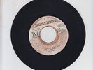 BRICK HOUSE/ HIT THE ROAD JACK  -  DELROY WILSON  (86 DIGI ROOTS  7