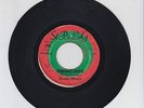 ST ROLOG/ ECONOMIC CRISIS  -  NEVILLE MARTIN  (77 REGGAE ROOTS 7