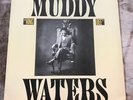 Muddy Waters - King Bee LP Blue Sky Original 1981 LP Vinyl Record