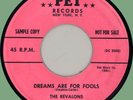 REVALONS Dreams Are for Fools / This Is the Moment 45rpm Pet 1958 pink promo