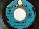 Psych Garage 45 LOLLIPOP SHOPPE “Someone I Knew” on SHAMLEY ‘69 promo nice HEAR
