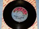 Sex Pistols ?– Holidays In The Sun - 7