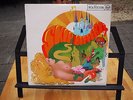 LP skip bifferty  MONO RD 4971 (1967)