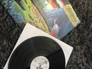 Ashbury - Endless Skies LP 180 g Vinyl + Poster