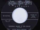 R&B Blues 45 LITTLE WILLIE BROWN/CAMEOS Gonna Make It On Back DO-RE-ME HEAR