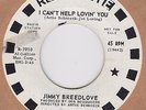 NORTHERN SOUL - JIMMY BREEDLOVE - I CANT HELP LOVING YOU - ROULETTE DEMO