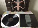 Leeway Born To Expire LP RARE NM 1ST PRESS Profile 1988 VINYL Cro-mags Warzone