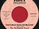 THE ENCHANTED FOREST 