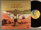 Fever Tree  Creation    Psych