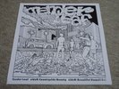 TENDER LEAF / COUNTRYSIDE BEAUTY / RARE HAWAII AOR SOUL FUNK JAPAN 7’