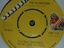 The Ellington's - I'm not destined to become a loser