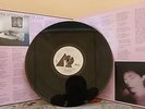 Janis Ian - Breaking Silence VINYL