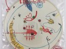 THE CURE THE CATERPILLAR PICTURE DISC VINYL 7